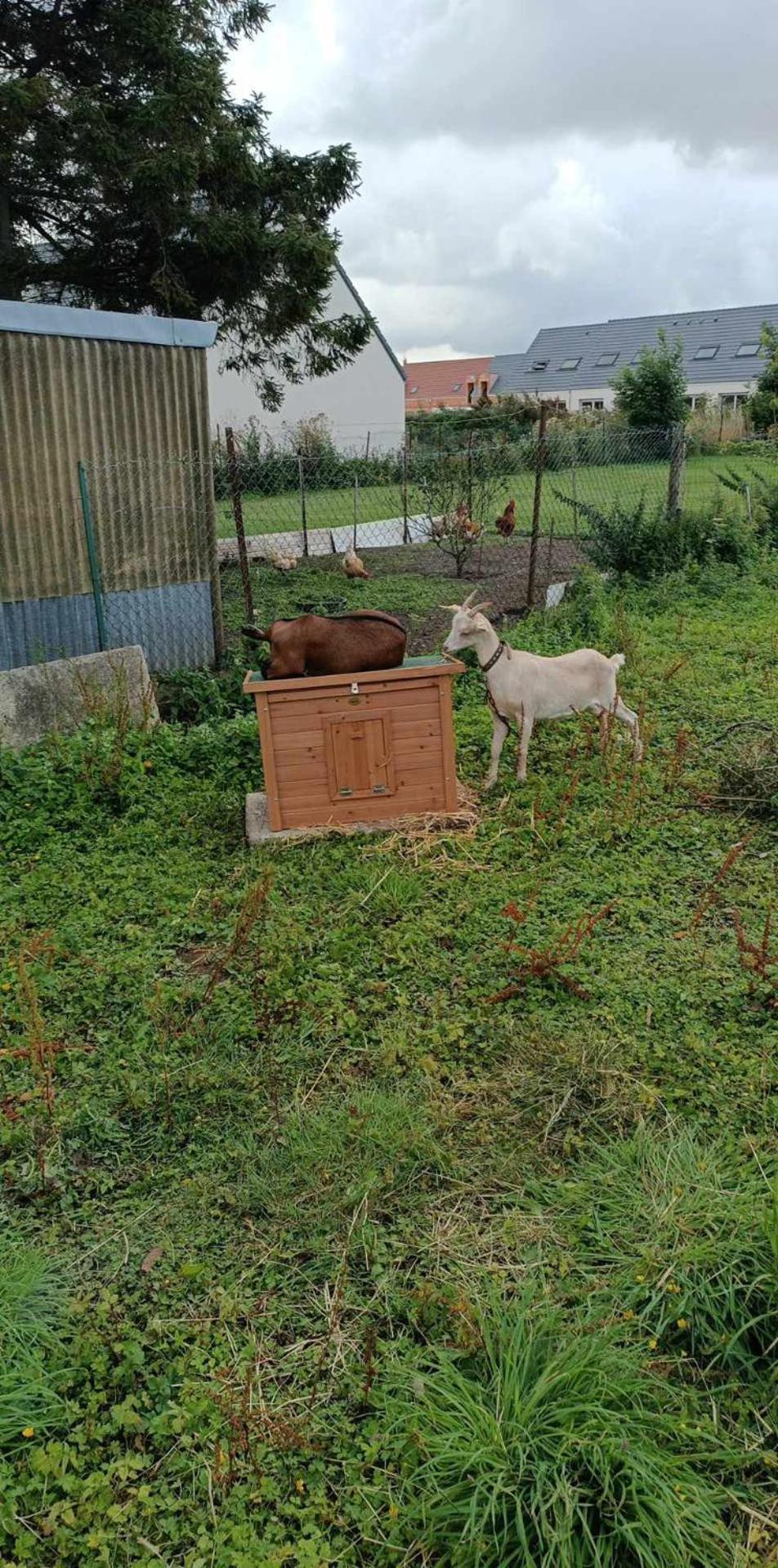 L'hippo-gite Ferienhaus *